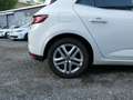 Renault Megane IV BERLINE dCi 110 Energy BUSINESS Weiß - thumbnail 8