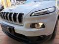 Jeep Cherokee 2.2 Mjt II 4WD Active Drive I Longitude Wit - thumbnail 25