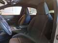 DS Automobiles DS 7 Crossback BlueHDi 130 Automatica Business - thumbnail 9