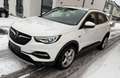 Opel Grandland X 2.0 D Business Innovation Leder Blanc - thumbnail 11