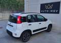Fiat Panda Panda 1.0 firefly hybrid City Life s&s 70cv 5posti Wit - thumbnail 4
