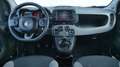 Fiat Panda Panda 1.0 firefly hybrid City Life s&s 70cv 5posti Wit - thumbnail 9