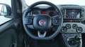 Fiat Panda Panda 1.0 firefly hybrid City Life s&s 70cv 5posti Wit - thumbnail 10