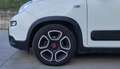 Fiat Panda Panda 1.0 firefly hybrid City Life s&s 70cv 5posti Wit - thumbnail 15