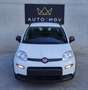 Fiat Panda Panda 1.0 firefly hybrid City Life s&s 70cv 5posti Wit - thumbnail 2