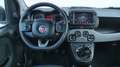 Fiat Panda Panda 1.0 firefly hybrid City Life s&s 70cv 5posti Wit - thumbnail 11