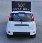 Fiat Panda Panda 1.0 firefly hybrid City Life s&s 70cv 5posti Wit - thumbnail 5