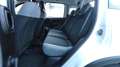 Fiat Panda Panda 1.0 firefly hybrid City Life s&s 70cv 5posti Wit - thumbnail 14