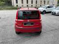 Fiat Panda 1.2 Dynamic Natural Power OK NEOPATENTATI Rosso - thumbnail 6