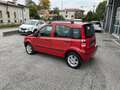 Fiat Panda 1.2 Dynamic Natural Power OK NEOPATENTATI Rosso - thumbnail 4