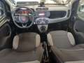 Fiat Panda 1.0 FireFly S&S Hybrid City Life Km 63000 Grigio - thumbnail 10