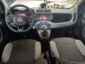 Fiat Panda 1.0 FireFly S&S Hybrid City Life Km 63000 Grigio - thumbnail 14