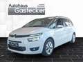 Citroen Grand C4 Picasso BlueHDi 120 S&S 6-Gang Intensive Weiß - thumbnail 1