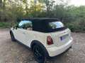 MINI One Cabrio F57 Weiß - thumbnail 8