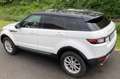 Land Rover Range Rover Evoque Pure 2,0 TD4 e-Capability Weiß - thumbnail 4