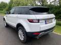 Land Rover Range Rover Evoque Pure 2,0 TD4 e-Capability Weiß - thumbnail 11