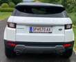 Land Rover Range Rover Evoque Pure 2,0 TD4 e-Capability Weiß - thumbnail 3