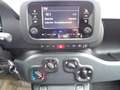 Fiat Panda 4x2 FireFly Hybrid 70 Weiß - thumbnail 17