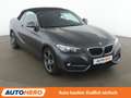 BMW 218 218d Sport Line *NAVI*TEMPO*PDC*SHZ* Grau - thumbnail 8