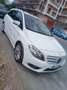 Mercedes-Benz B 180 cdi  Executive - thumbnail 1