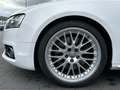 Audi S5 Cabriolet 3.0 TFSI quattro | S Sportsitze Weiß - thumbnail 9