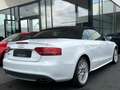 Audi S5 Cabriolet 3.0 TFSI quattro | S Sportsitze Weiß - thumbnail 4
