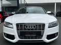 Audi S5 Cabriolet 3.0 TFSI quattro | S Sportsitze Weiß - thumbnail 5