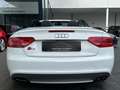Audi S5 Cabriolet 3.0 TFSI quattro | S Sportsitze Weiß - thumbnail 7