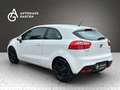 Kia Rio 1.4 Spirit Lenkradheizung PDC Klimaautomatik Weiß - thumbnail 3