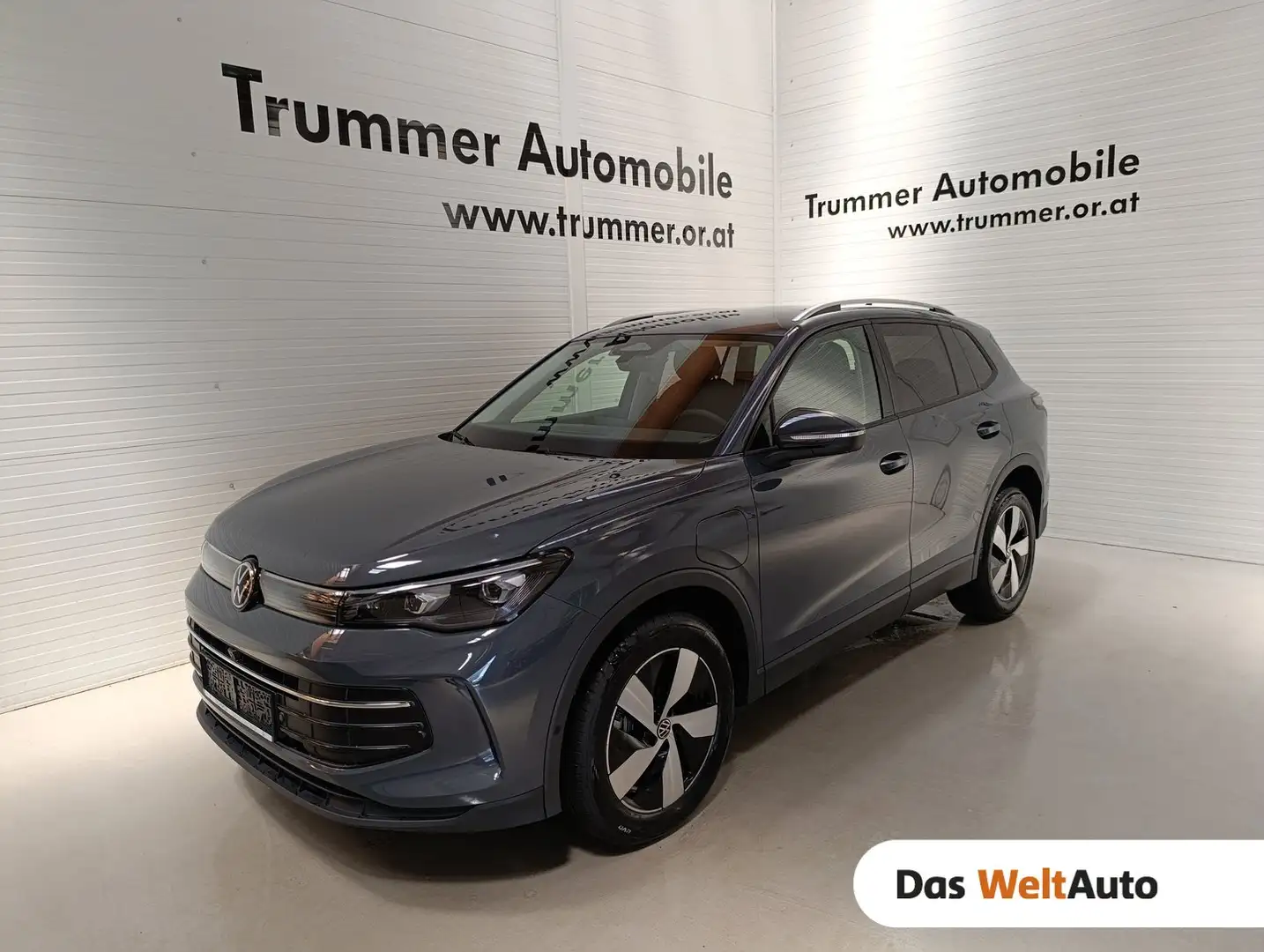 Volkswagen Tiguan Friends eHybrid DSG 150 kW Серый - 1