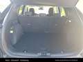 Ford Kuga Titanium 1.5 EcoBlue Automatik Blau - thumbnail 13