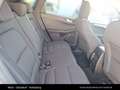 Ford Kuga Titanium 1.5 EcoBlue Automatik Bleu - thumbnail 27
