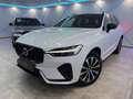Volvo XC60 T6 AWD Recharge PHEV Plus Dark Geartronic*R-DES... Weiß - thumbnail 6