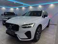 Volvo XC60 T6 AWD Recharge PHEV Plus Dark Geartronic*R-DES... Weiß - thumbnail 8