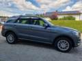 Mercedes-Benz GLE 250 GLE -Klasse  250 d 4Matic Grau - thumbnail 42