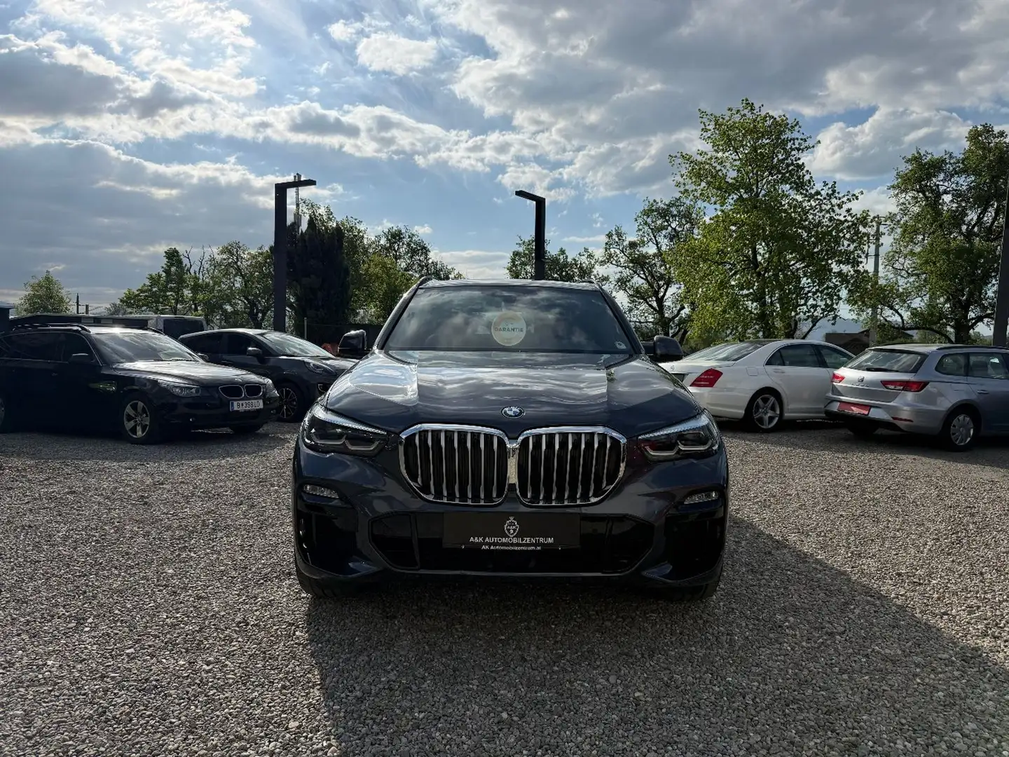 BMW X5 xDrive30d Blau - 2