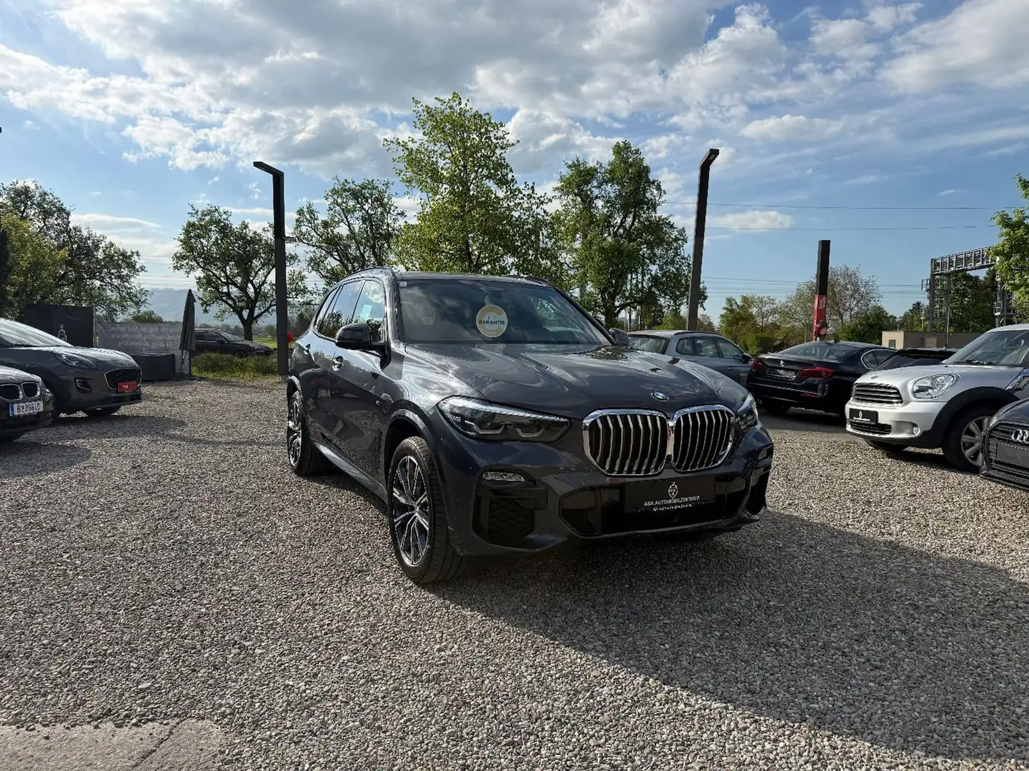 BMW X5 xDrive30d Blau - 1