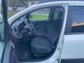 Fiat Panda 1.0 70cv hybrid cross Weiß - thumbnail 6
