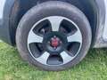 Fiat Panda 1.0 70cv hybrid cross Weiß - thumbnail 27