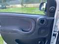 Fiat Panda 1.0 70cv hybrid cross Weiß - thumbnail 15