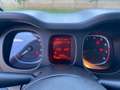 Fiat Panda 1.0 70cv hybrid cross Weiß - thumbnail 19