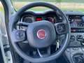 Fiat Panda 1.0 70cv hybrid cross Weiß - thumbnail 16
