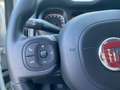 Fiat Panda 1.0 70cv hybrid cross Weiß - thumbnail 17
