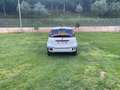 Fiat Panda 1.0 70cv hybrid cross Weiß - thumbnail 11