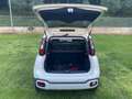 Fiat Panda 1.0 70cv hybrid cross Weiß - thumbnail 12