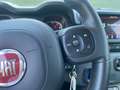 Fiat Panda 1.0 70cv hybrid cross Weiß - thumbnail 18