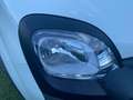 Fiat Panda 1.0 70cv hybrid cross Weiß - thumbnail 25