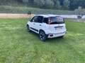 Fiat Panda 1.0 70cv hybrid cross Weiß - thumbnail 3