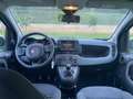 Fiat Panda 1.0 70cv hybrid cross Weiß - thumbnail 5