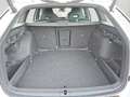 Skoda Octavia Combi 1.5 eTSI DSG Sportline AHK 4J.Gar. Белый - thumbnail 15
